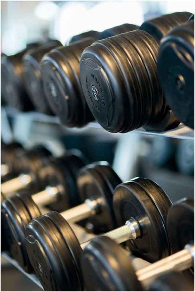 Dumbbells Vs Barbells What Are The Differences 